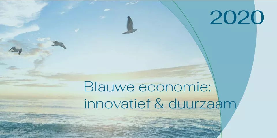 brochure web blauwe economie: innovatief en duurzaam 2020